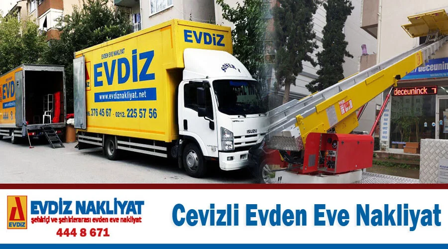 Cevizli Evden Eve Nakliyat