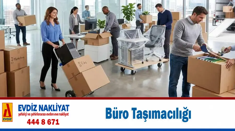 Büro Taşımacılığı